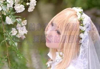 サク(saku)的办公室，优雅又随意的写真集，探险家的原图记录