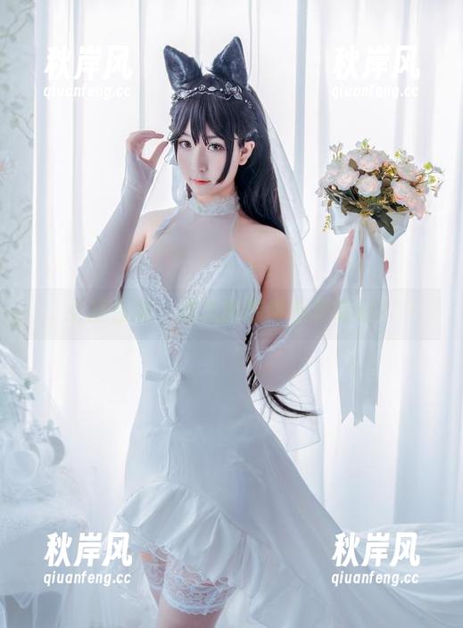 女孩合集：猫九酱的青春漫游记！